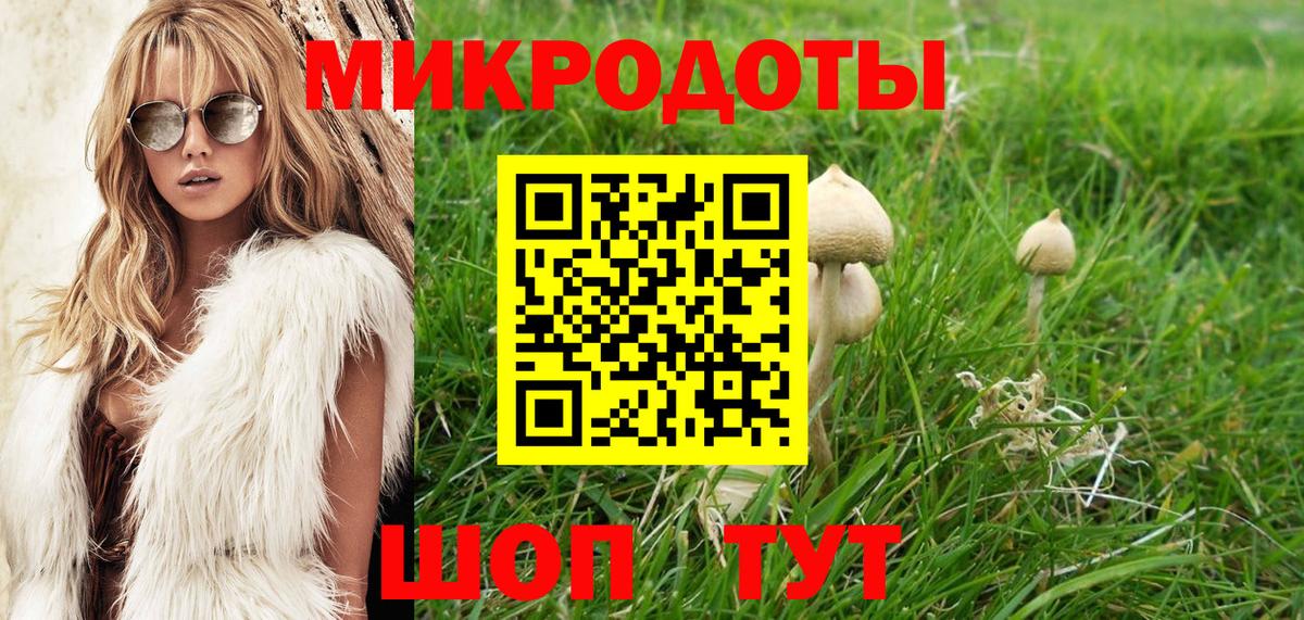 Псилоцибиновые грибы мицелий Приморско-Ахтарск