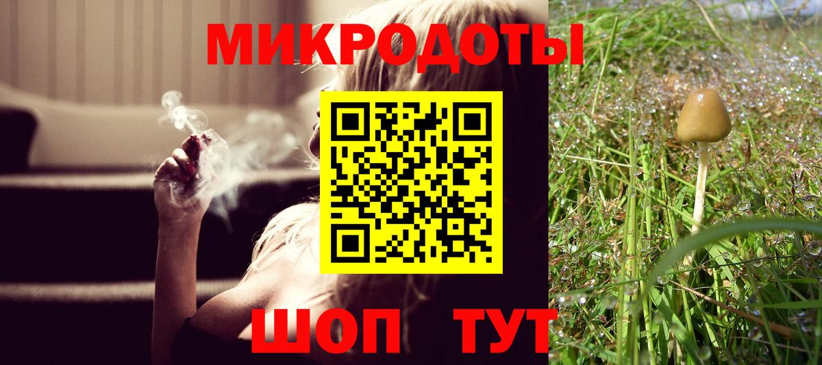 Псилоцибиновые грибы мицелий  Галлюциногенные грибы ЛСД  Вход с VPN  купить наркотик  Приморско-Ахтарск 